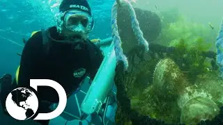 3 pescas muito lucrativas | Caçadores das Profundezas | Discovery Brasil