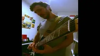 Guitar cover/ Same Color As The Sun - flor