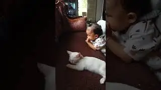 Bayi Kucing Ketiduran Sambil Ngasuh