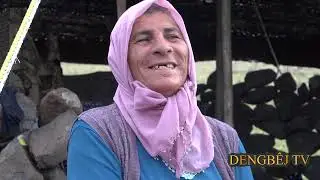 JÎYANA ZOZANA Û KLAM