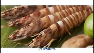 ソラリア西鉄ホテル「鉄板焼 浅黄」　～ランチ～
