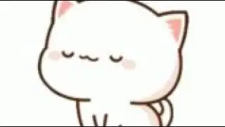Cute cat gif