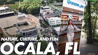 Complete Guide to Ocala: From Silver Springs to the World Equestrian Center