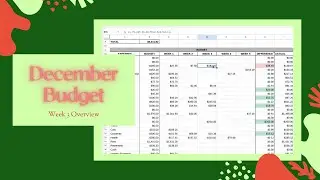December Week 3 Budget Review / Check-In - Unexpected Large Expenses