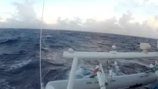 Nereus ocean crossing 5