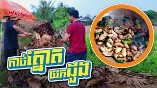 Cutting Palm Tree and Catching Coconut Worms to Cook | Episode 101