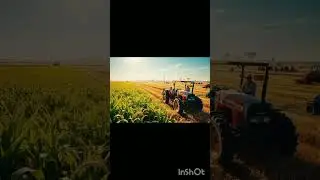 how to increase a milk production of cow and buffalo #song #punjabisong