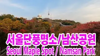 서울단풍명소/ 남산공원/서울N타워/남산둘레길/Seoul Maple Spots/ Namsan Park/ Seoul N Tower
