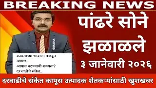 आजचे कापूस बाजार भाव |भाव तुफान वाढले |या जिल्ह्यात सर्वात जास्त भाव kapus bhav today | cotton rate