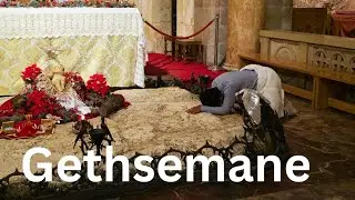 GETHSEMANE: JESUS WAS ARRESTED HERE .Kidron valley/ Jerusalem 