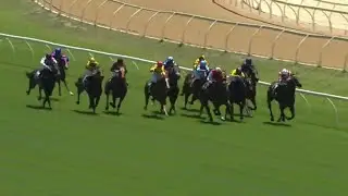 Ascot WA Horse Racing 2025 Saturday November 15