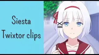 Siesta Twixtor clips for edits/1080p