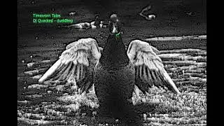 Timeworn Tales, Dj Quacked - duckStep