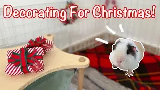 Decorating for Christmas + Your Christmas Cages! - Guinea Pig Edition