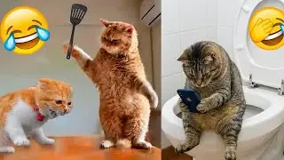 The Funniest Animals On The Internet 😂 NEW Funny Animal Videos 2026! Viral vlog