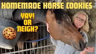 Homemade Horse Treats! Easy And Quick!