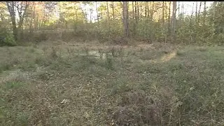 Mahoning County commissioners support Mill Creek wetland restoration project