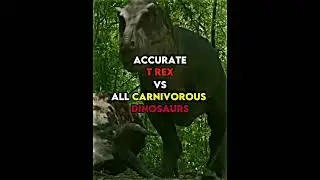 Tyrannosaurus rex VS all Carnivorous dinosaurs #shorts #trex #dinosaur