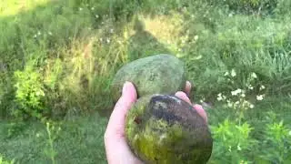 Biodynamic Natural Farming, how to become Organic, Biodynamic Certified