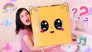 Compré una CAJA MISTERIOSA KAWAII de 250 DÓLARES  l Fabbi Lee