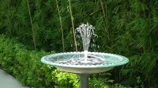 【Remote Control  + 8 Spray Patterns】 Solar-Powered Fountain: It Brought My Garden to Life