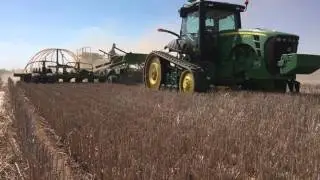 Dry sowing canola
