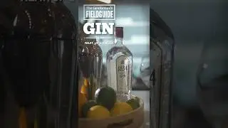 The Gentleman&rsquo;s Fieldguide to Gin: Neat, Up & Rocks