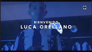 &iexcl;Bienvenido, Luca Orellano! 🇫🇮