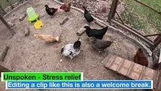 Unspoken - Stress Relief