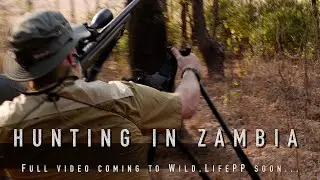 Hunting Zambia Trailer