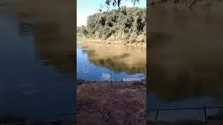 mais uma pesca 🎣 no Rio Paraopeba,