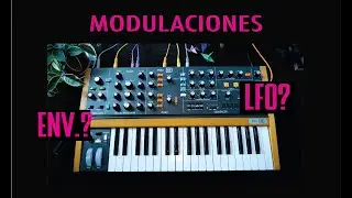 Cómo usar las modulaciones de un SINTETIZADOR? - TODO sobre el POLY D (copia MINIMOOG?)