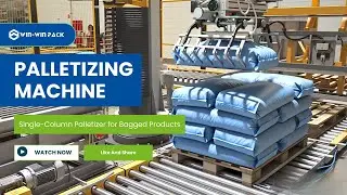 WIN-WIN PACK Single-Column Palletizer for Bagged Products with Stretch Wrapping