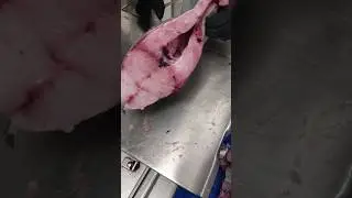Jack Fish | Fish Cutting