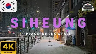 [4K] Peaceful Snowfall Night in Korea ❄️ Quiet Winter Atmosphere 🇰🇷