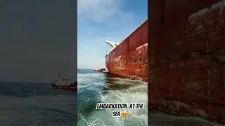 Cargo vessel embarkation #cargovessel #embarkation #bulkcarriervessel #atthesea  #motivation