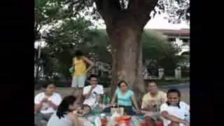 Under the Acacia Tree