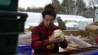Siena Farms Farm Share Partnership