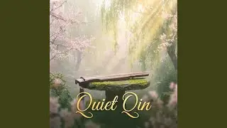 Calm on the Strings