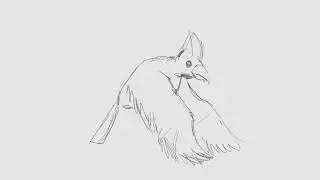 Roughs Line Cardinal Bird