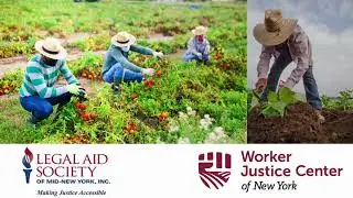 Deferred Action for Labor Enforcement