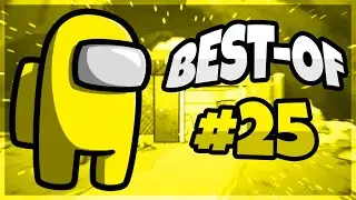 Best-Of Dingus #25 (Among Us)