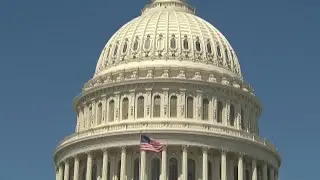 Why can't members of Congress work from home?
