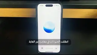 العيال عايزين يسمعوا قصة حلوه يا شات جي بي تي 🤖 متصغرنيش قدامهم 🫣