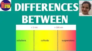 DIFFERENCES BETWEEN SOLUTIONS, SUSPENSIONS AND COLLOIDS