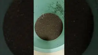 How to keep aquasoil from floating up into your sand in an aquarium