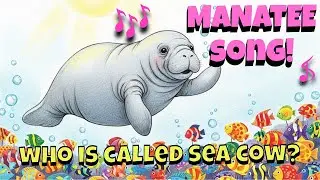 Manatee Song for Kids | Why Are Manatees Called Sea Cows? 🐋🎵