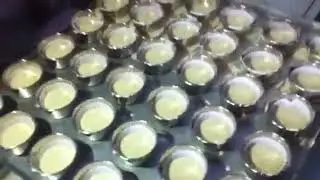 Cookies Machine Coimbatore 9092356993 / 8056394640