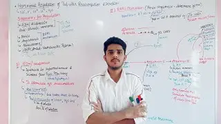 Hormonal Regulation of Tubular Reabsorption & Secretion #mducee2023 #mducee  || Part-05 ||