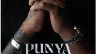 Punya Paap Album - satya